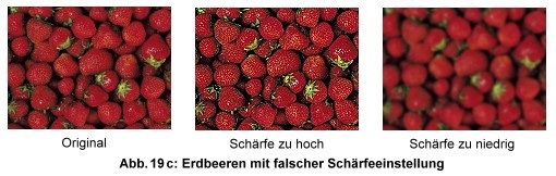 Testbild Erdbeeren