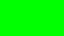 Burosch Pixel Error Green
