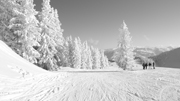 Burosch Winter Realbild