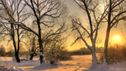 Burosch Bäume Winterlandschaft Realbild