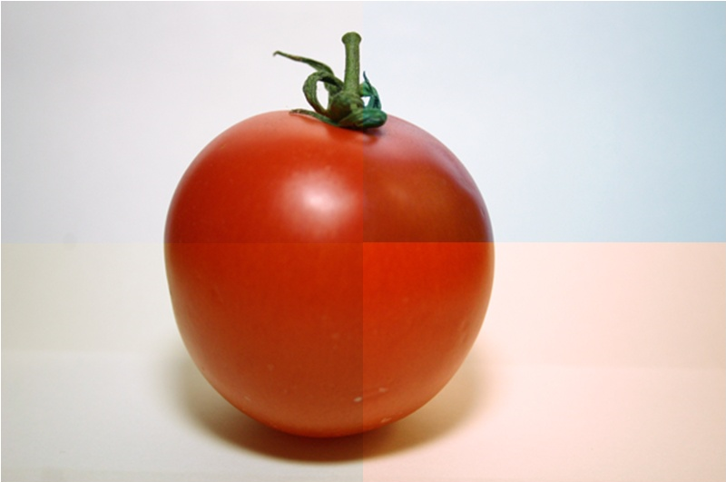 Burosch: Verschieden Weiß Farbtemperaturen Tomate